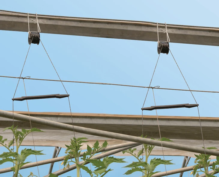 Skyplant Tomato Trellistrellising Kit Pro With 15m Pp Twine Tomato Clip For Agriculture