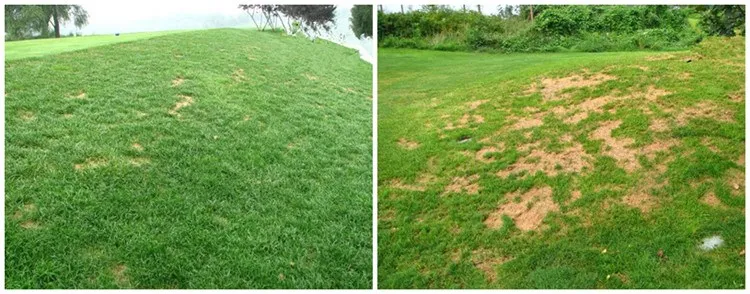 Huminrich Shenyang Sh9002a 5 Slow Release Humic Acid Coated With Fulvic Acid Granules Buy Fulvic Acid Humic Acid Granules Slow Release Humic Acid Product On Alibaba Com