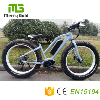 new electric cycle