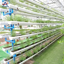 Hydroponic For Growing Lettuce Whole Suppliers Alibaba