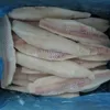 Light Salted Frozen Cod Fillet Fish