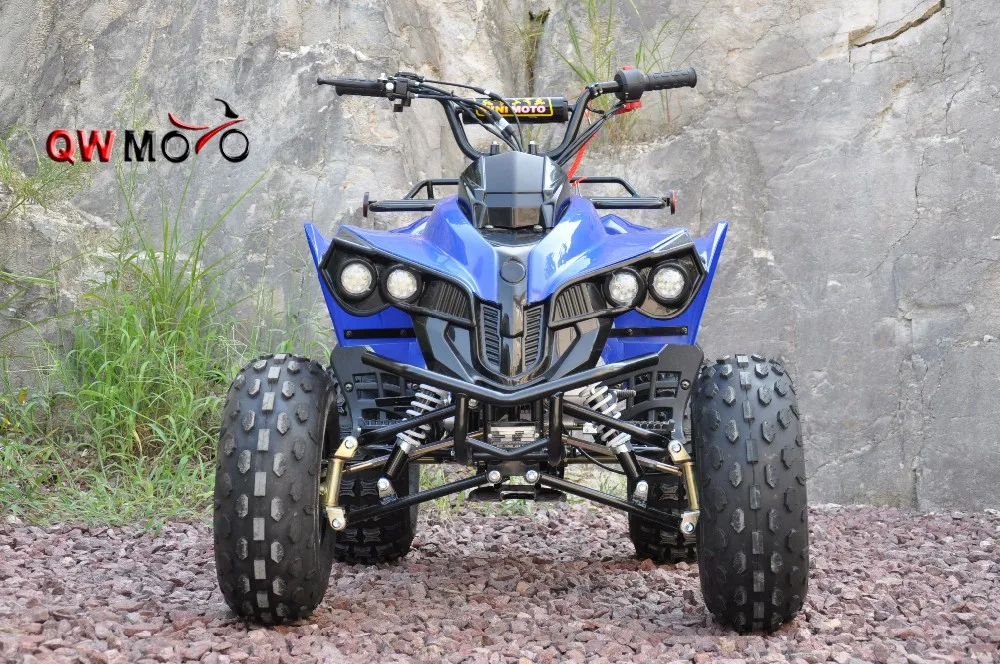 Qwmoto 250cc 4 Stroke Farm Atv Kick Start 4 Wheelers Quad Atv 250