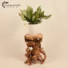 Profession promotional Many Kind Of Teak Root Table for sale