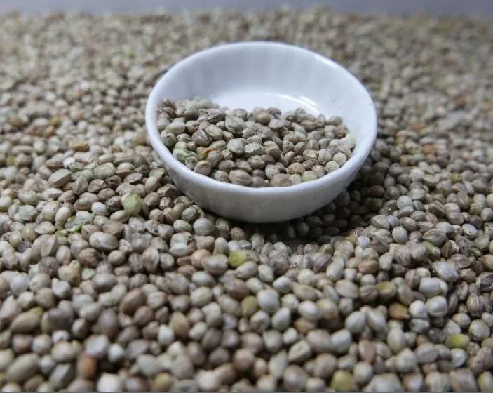 2021 Chinese Hemp Bird Seeds (seeds For Bird),Bird Seed,Bird Food Whosale Buy Hemp Seeds,Hemp