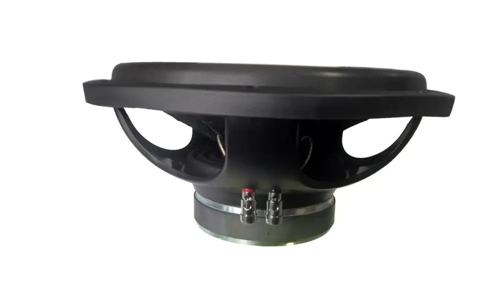 12inch subwoofer .jpg