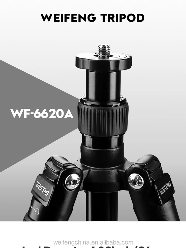6620A_01.jpg