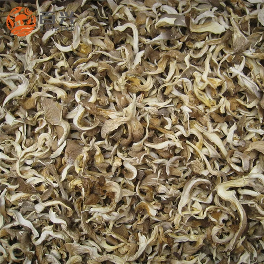 
Fresh dried oyster mushroom 1kg price 