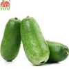 100% Natural Winter Melon For Export