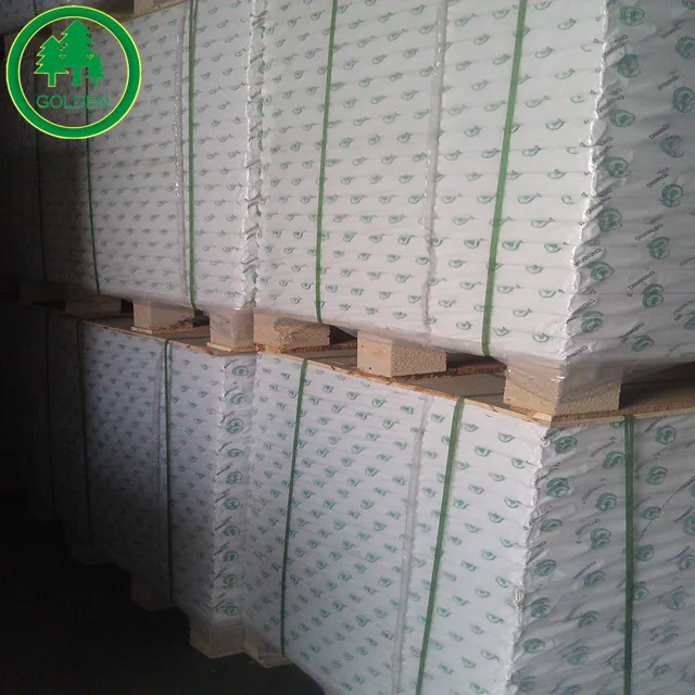 
C1S Coated Ivory Board/ FBB/ Bristol Paper Roll 