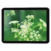 i5/i3 Intel core 19 inch touch screen panel with Wins 10 tablet pc