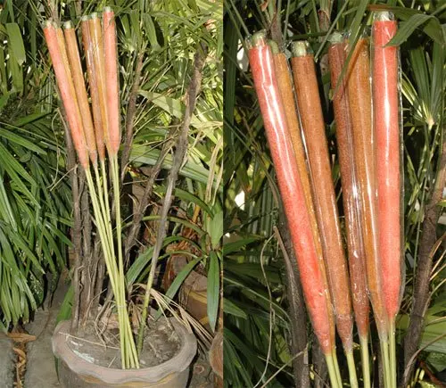 
Decorative Candle Stick Mosquito And Insect Repellent, Lemon Glass 