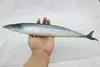 lifelike delicate soft PVC fake tuna fish sea food replica model handicraft for business promotional decoration display