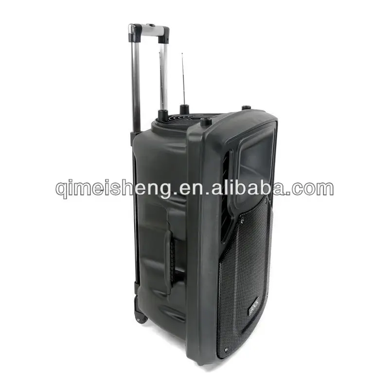 Professional powerful 15 Inch portable speaker with USB/SD/FM/built-in battery trolley portable speaker - ANKUX.COM
