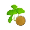 Organic Pure ginkgo biloba powder bulk