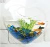 Heart Shape Acrylic Betta Fish Tank Aquarium Clear Transparent Wall Mounted Bowl Plant Hanging Vase Fish Tank Made In China