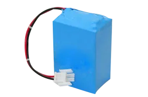 
EVEWHER lithium battery pack 36v 30ah For electric scooter 1000w 