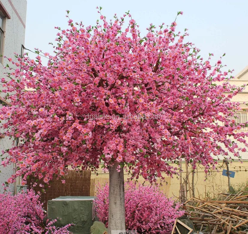 peach blossom cherry flower tree man made