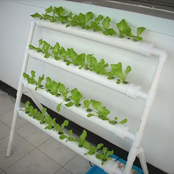 hydroponic nft