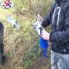 bird garden nets for catching birds