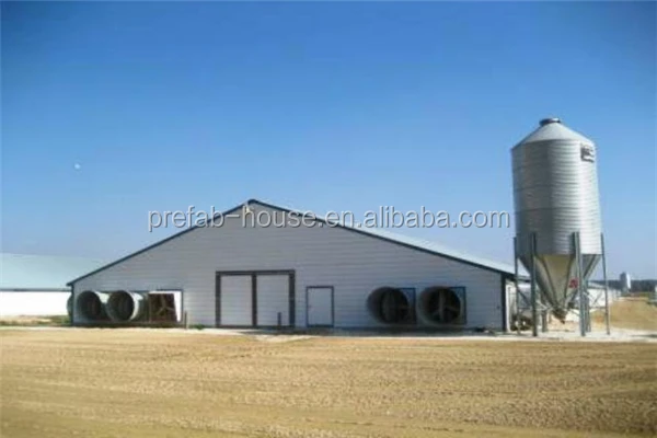 egg layer chicken and broiler chicken  prefabricated poultry farm shed 100*12*4.5m