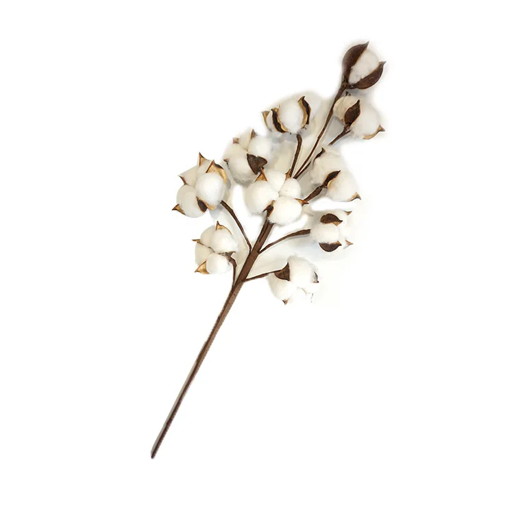 
21inch New designs Natural artificial dried flowers decorative flowers bionic balls natural cotton stems wholesale 3 pack 6 