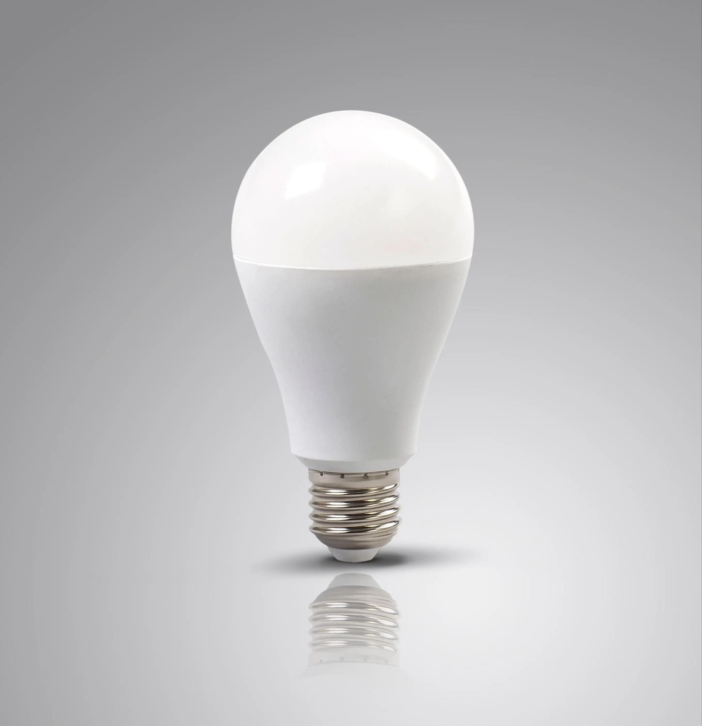 led light bulbs screw type