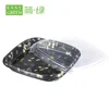 Easy Green Rectangle Disposable Blister Food Grade Serving Platter Container Square Plastic Tray Large