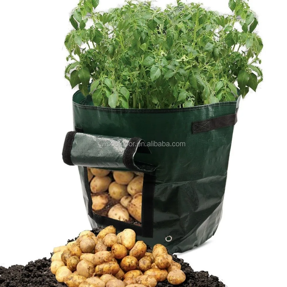 

10 Gallon garden potato vegetable planter grow bags with access flap, Green