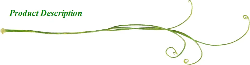a1.jpg