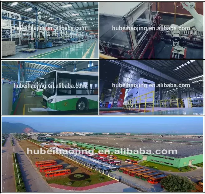 Dongfeng 6CT engine plunger fuel pump for hot sale