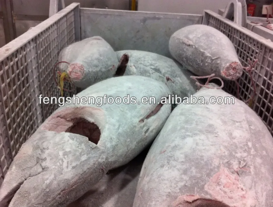 sashimi grade 4frozen bigeye tuna seafood.jpg