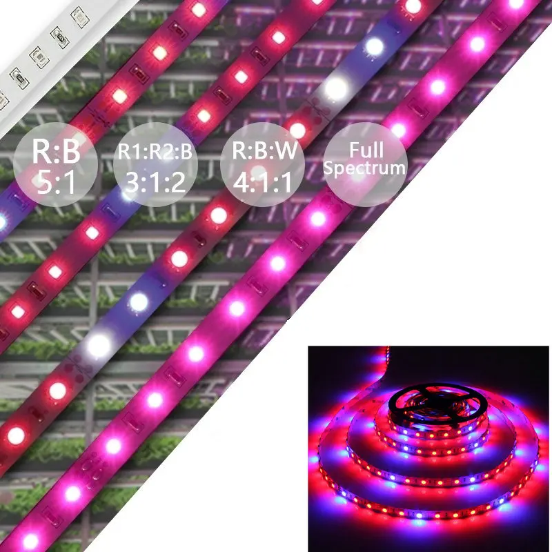 Cheap Replace Led Grow Light , 12V Smd 5050 Led Plant Grow Light Strip