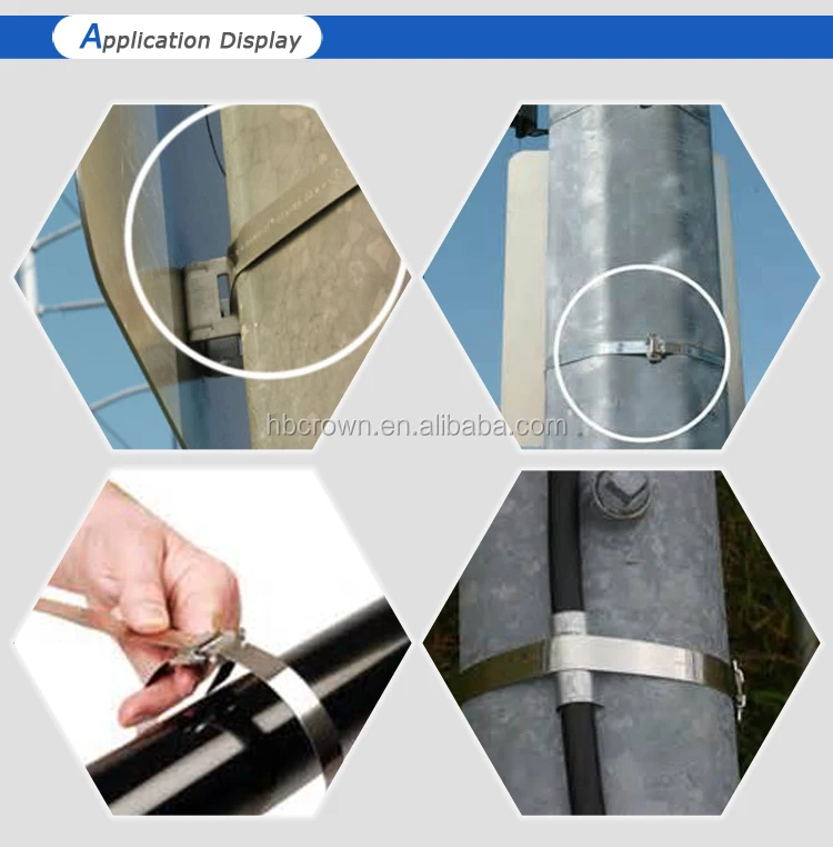Bnading Buckle Application.jpg