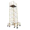 TSX18967 Powder Coated Mansory Ladder Frame Layther Scaffold