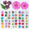 Nail Art Nature Dry Flowers Set Gel Polish Tip 3D DIY Floral Slices Decal Pro Manicure Pedicure Decor