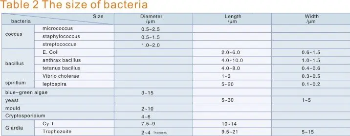 size of bacteria