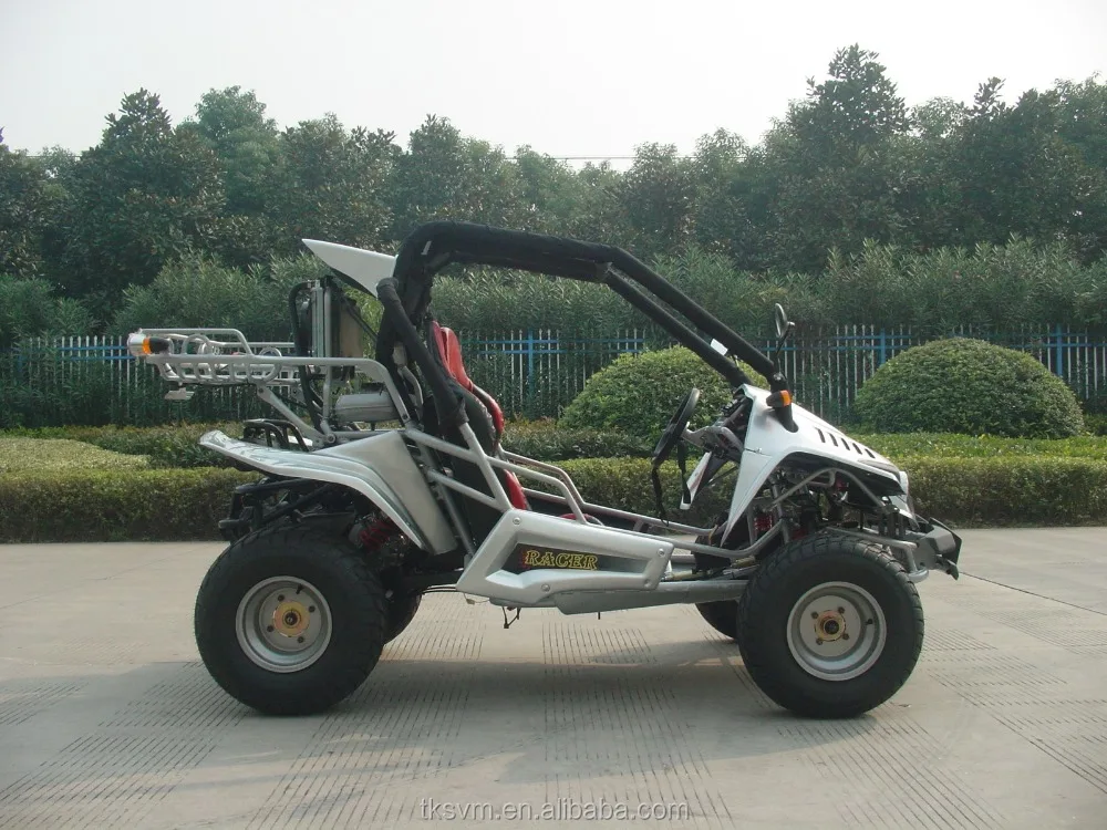 
2 seat dune buggy 