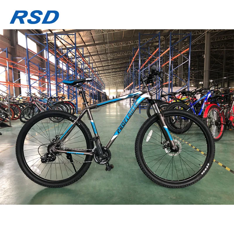 29 inch mountain bike single speed