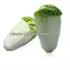 Man-made vegetable chinese Cabbage