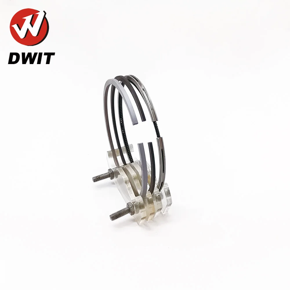 dwit 4181A026 04.jpg