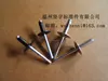 big flange head blind rivets /pop rivet