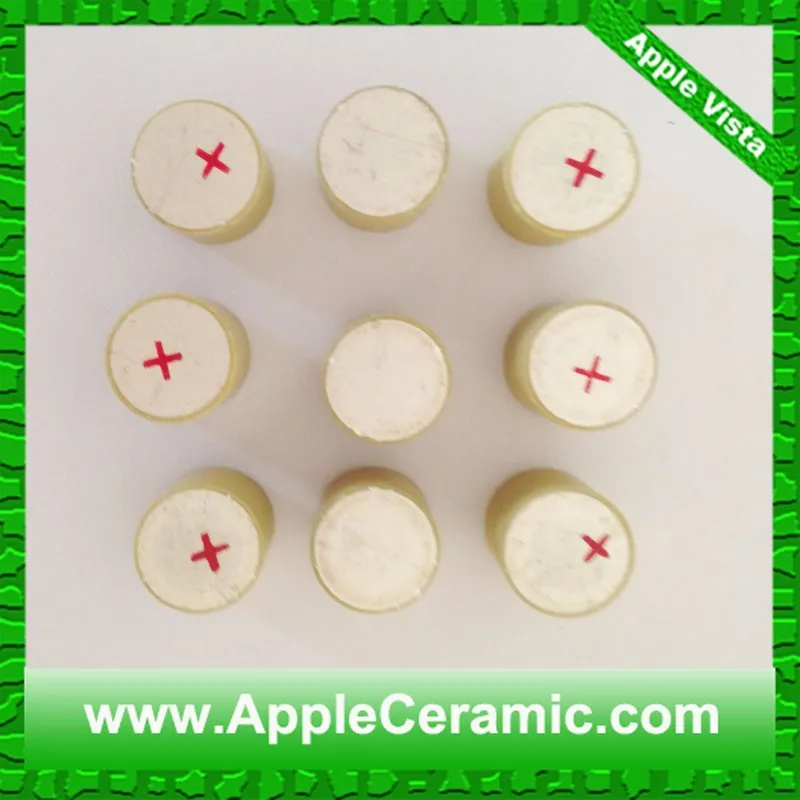 10x10 piezo element (7)