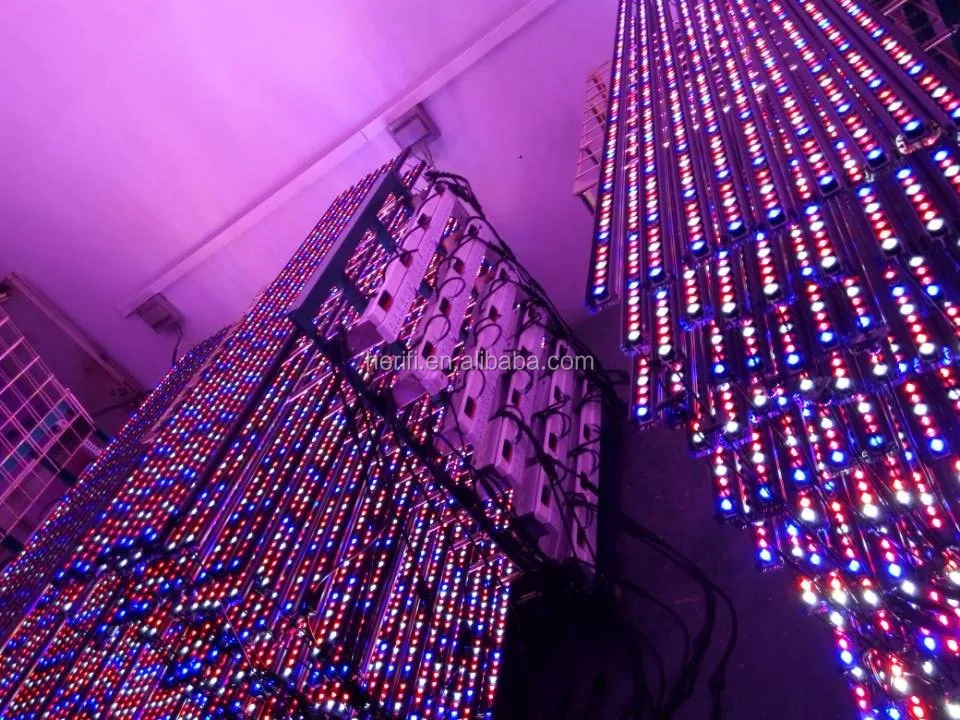 Customized  bar lights.jpg