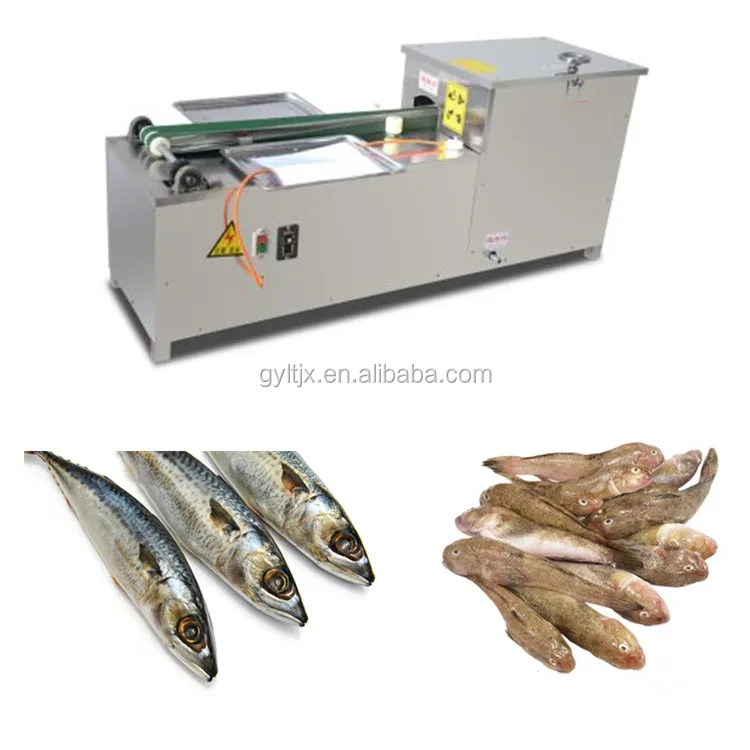 seafood processing equipment