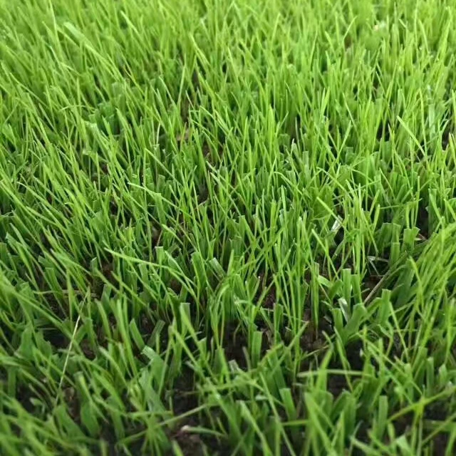 

Hybrid's grass combines with natural grass and artificial grass, Customized