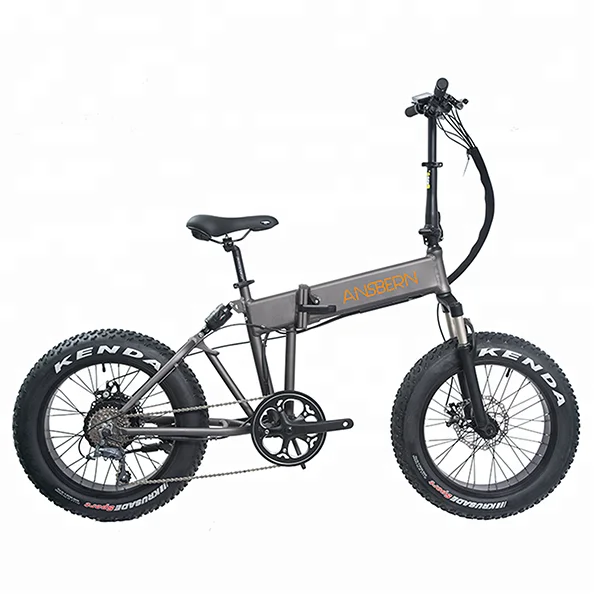 

36V 750W Lowrider E-Bike 20 Fat Tire Folding Electric Bike For Ladies, Customized