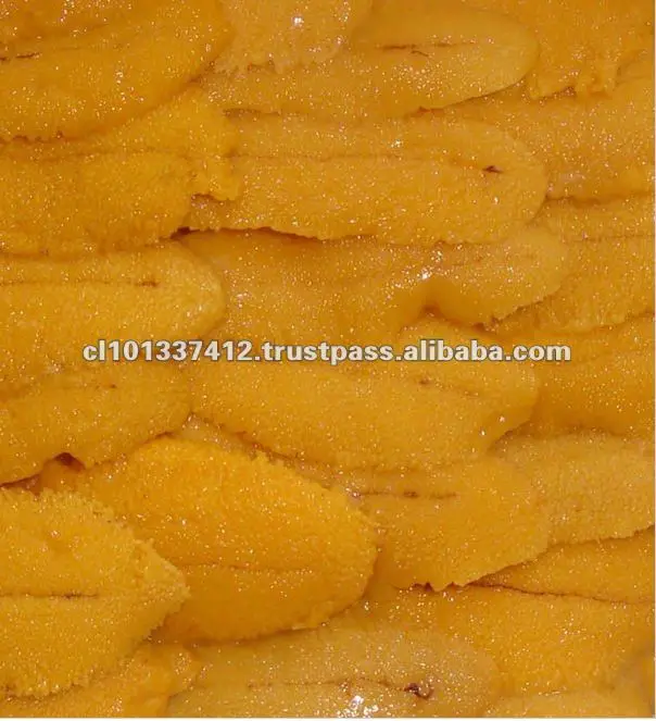 
Chile Top Quality Fresh Frozen Sea Urchin 