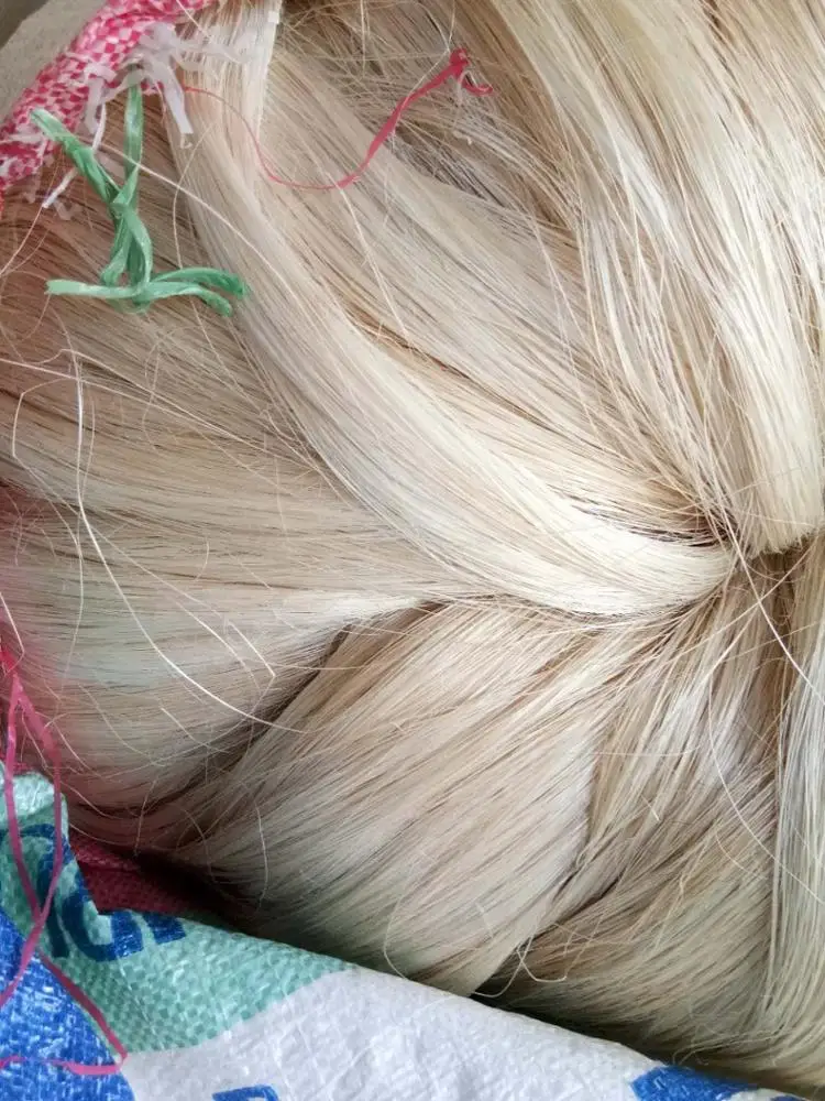 Ef Grade Abaca Fiber Produced In Philippine Shining Color Best Hair