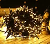 factory outlets 12 volt led string lights 100LED wholesale