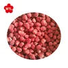 IQF frozen strawberry AM13 with high quality